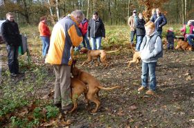 nakomelingendag 2010 Zwolse bos 001.jpg