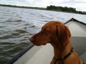 zomer2007-1 017.jpg