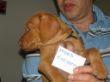 serie 7 pups 044.jpg
