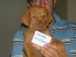 serie 7 pups 050.jpg